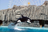 名古屋港水族館